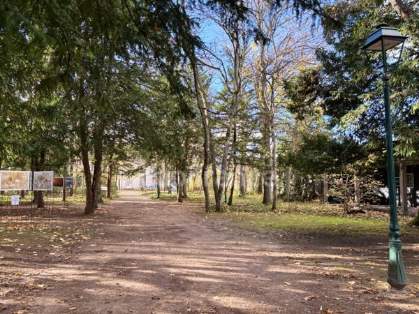 Maison à louer 5 pièces 119,34m2 4 chambres, terrasse LA CHAPELLE SAINT MESMIN (45)