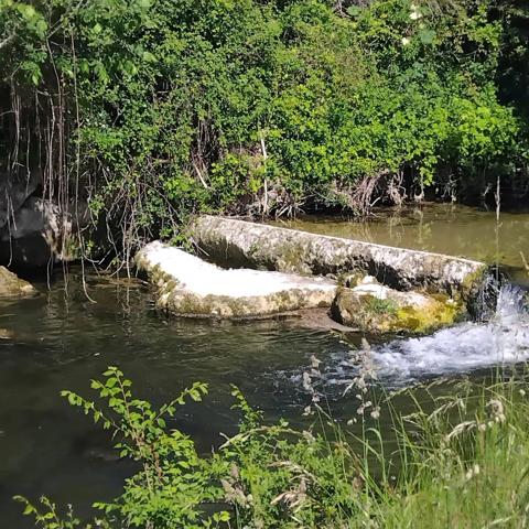 Vente                                                      Maison
                        
                     3 pièces                      98 m2                     à Dégagnac