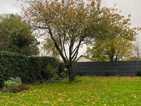 Maison d'architecte 5 pièce(s) 132 m2