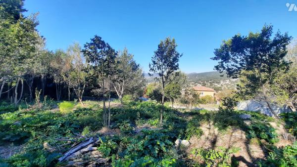 VENTE EN IMMO-INTERACTIF® : TERRAIN - Ceyreste - Bouches-du-Rhône (13)