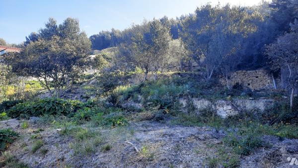 VENTE EN IMMO-INTERACTIF® : TERRAIN - Ceyreste - Bouches-du-Rhône (13)