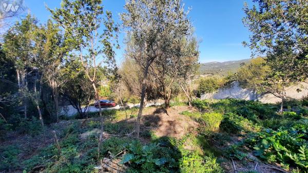 VENTE EN IMMO-INTERACTIF® : TERRAIN - Ceyreste - Bouches-du-Rhône (13)