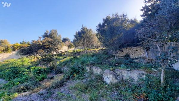 VENTE EN IMMO-INTERACTIF® : TERRAIN - Ceyreste - Bouches-du-Rhône (13)