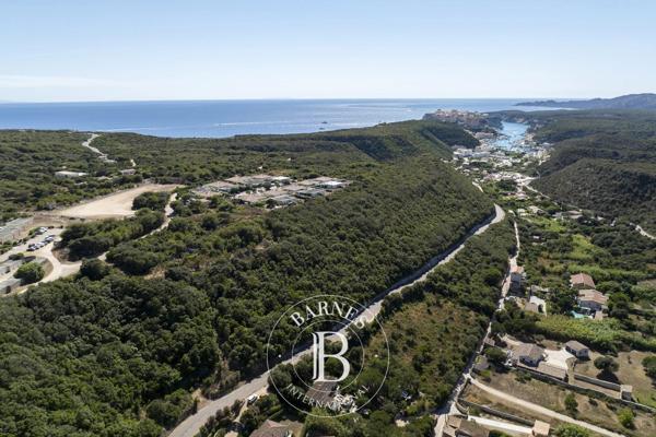 Bonifacio, Terrain constructible  4 320 m² à vendre