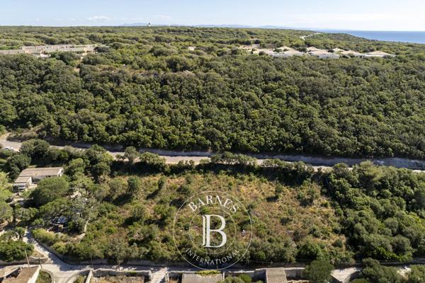 Bonifacio, Terrain constructible  4 320 m² à vendre