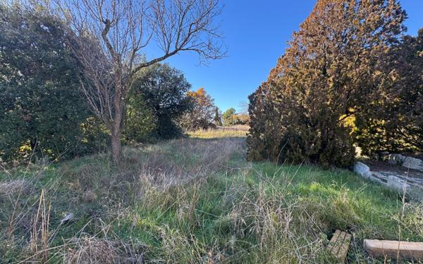 Maison à vendre    3 pièces • 66 m2 L'Isle-sur-la-Sorgue