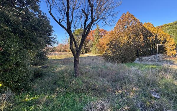 Maison à vendre    3 pièces • 66 m2 L'Isle-sur-la-Sorgue