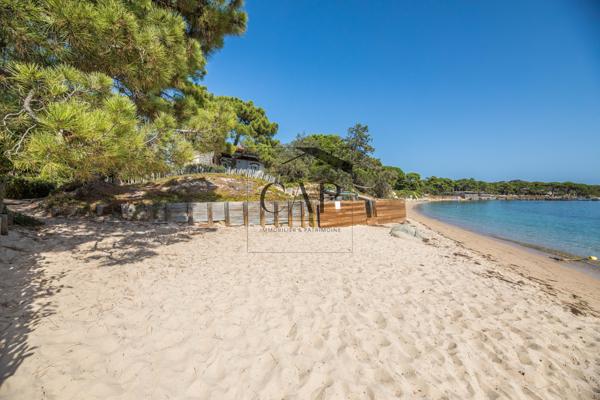 Lecci (20137) Villa de luxe & moderne T5 ***** avec piscine privée - plage de Cala Rossa