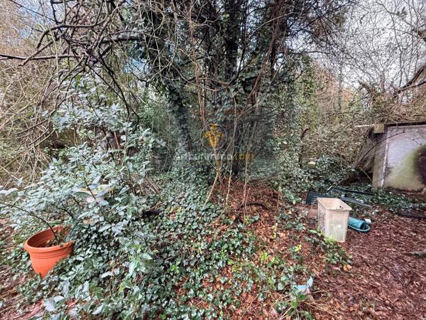 Vente Terrain 965 m2 à Bry-sur-Marne