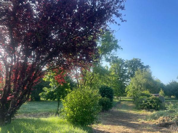 Achat - Maison Jublains 53160 7 pièces 157 m 2