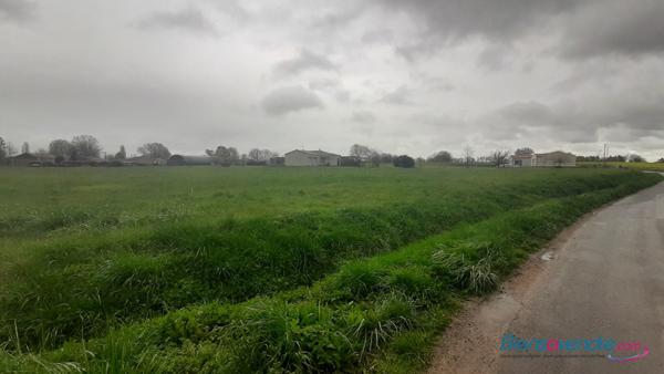 Terrain constructible