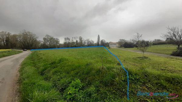 Terrain constructible