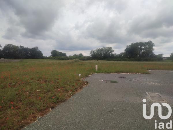 Terrain à vendre 746 m² Neuillé-Pont-Pierre