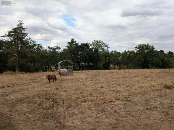 Achat - Maison Pouzauges 85700 7 pièces 169 m 2 2 m 2