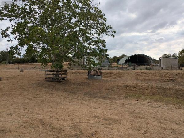 Achat - Maison Pouzauges 85700 7 pièces 169 m 2 2 m 2