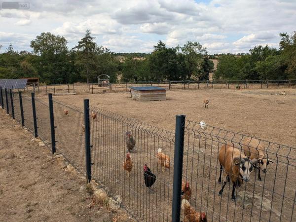 Achat - Maison Pouzauges 85700 7 pièces 169 m 2 2 m 2