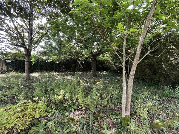 Maison à vendre |  Rouillac |  5 pièces | 220 m²