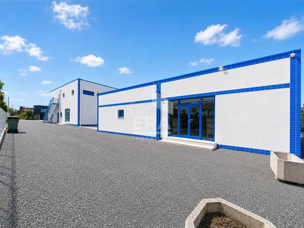 Bâtiments professionnels multi usage Zone d'activités Perpignan Nord