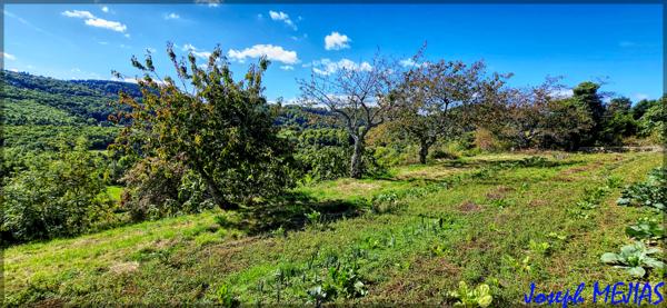 Saint-Jean-Chambre (07240) Terrain constructible 966 m² – Saint-Jean-Chambre