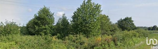 Terrain à vendre 2 504 m² Thourie