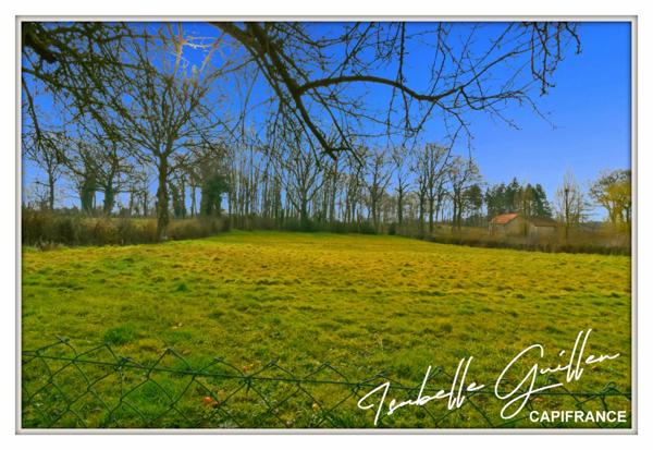 Maison à vendre 3 pièces SAINT MAUR (18)