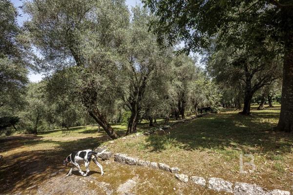 Villa de charme aux portes de Mouans-Sartoux