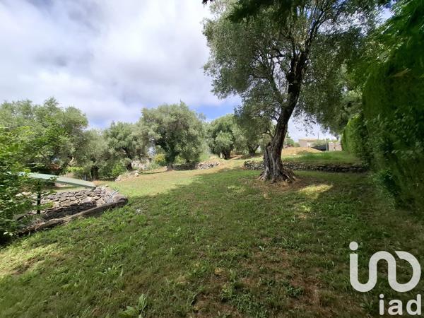 Terrain à vendre 1 800 m² Roquefort-les-Pins