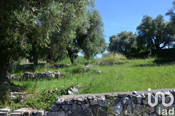 Terrain à vendre 1 800 m² Roquefort-les-Pins