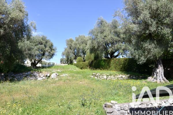 Terrain à vendre 1 800 m² Roquefort-les-Pins