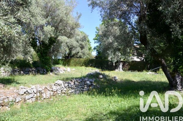 Terrain à vendre 1 800 m² Roquefort-les-Pins