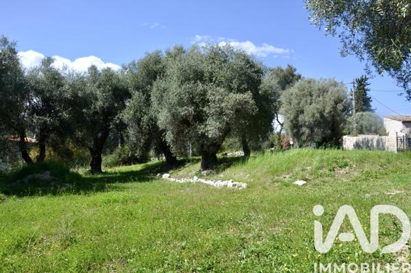 Terrain à vendre 1 800 m² Roquefort-les-Pins