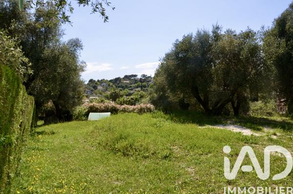 Terrain à vendre 1 800 m² Roquefort-les-Pins