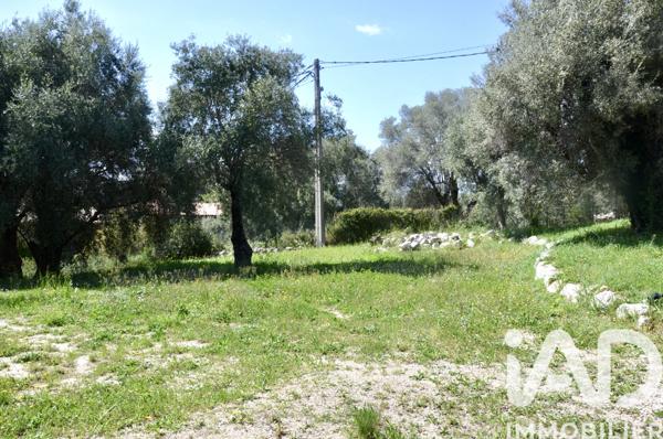 Terrain à vendre 1 800 m² Roquefort-les-Pins