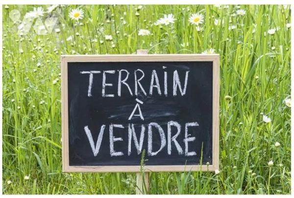 Terrain à bâtir