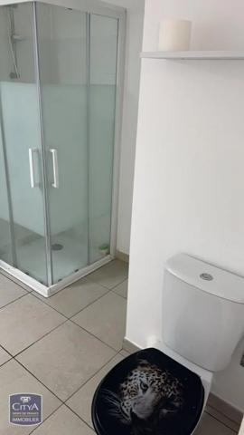 Appartement à louer 2 pièces 44m² Lille (59160)