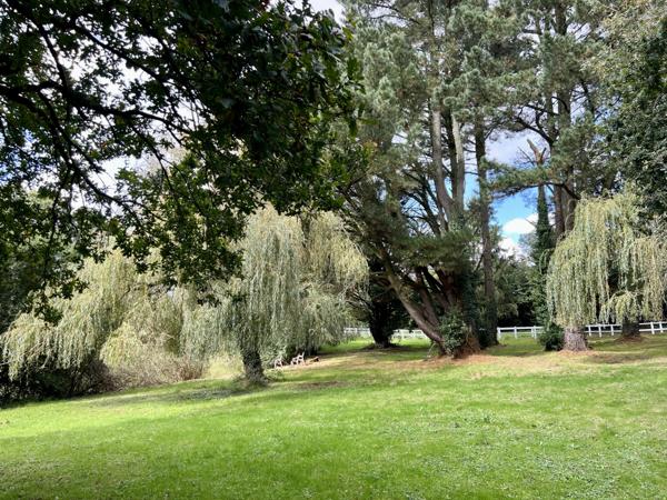 La Mothe-Achard (85150) Propriété de + de 245 m2 sur plus d'un hectare de terrain avec étang