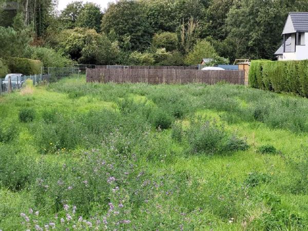 Terrain à Batir à vendre à Dannes dans le Pas-de-Calais (62187), ref : 069/592