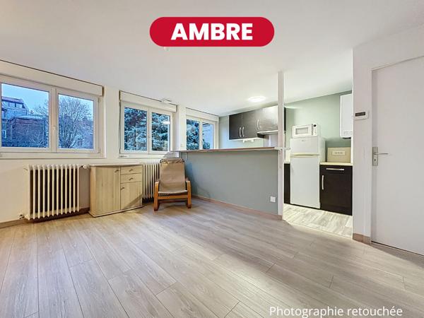 AMBRE - T2 - 43m2 - Secteur République Beaux Arts