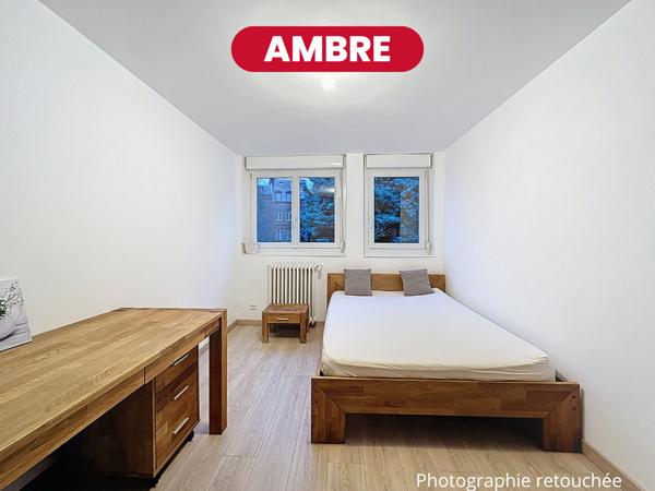 AMBRE - T2 - 43m2 - Secteur République Beaux Arts