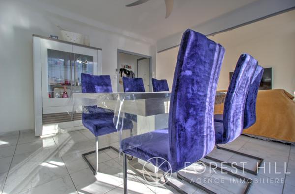 Céret (66400) Appartement lumineux T3 avec Garage