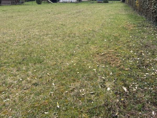 Terrain à Batir à vendre à Crécy-en-Ponthieu dans la Somme (80150), ref : 113/1770