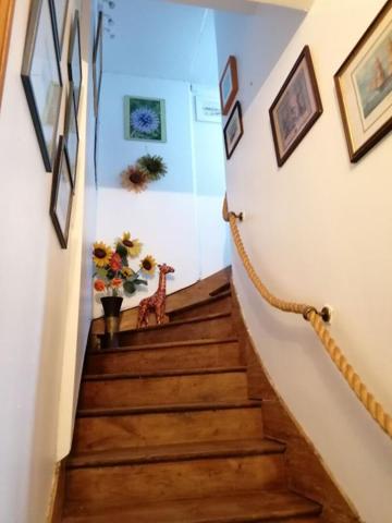 Maison de charme avec jardin paysagé ? Centre historique de Ploërmel