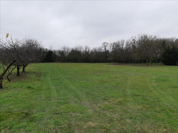 Terrain à vendre |  Palluau-sur-Indre |  1474 m²