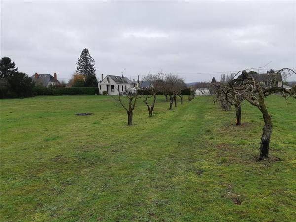 Terrain à vendre |  Palluau-sur-Indre |  1474 m²