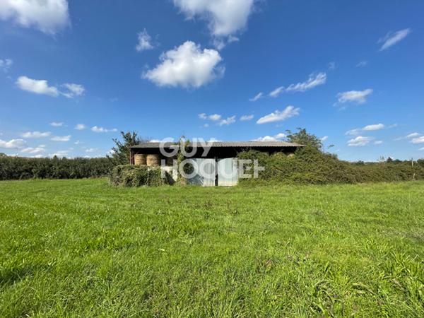 Terrain en zone commerciale et agricole avec hangar de 375m²
