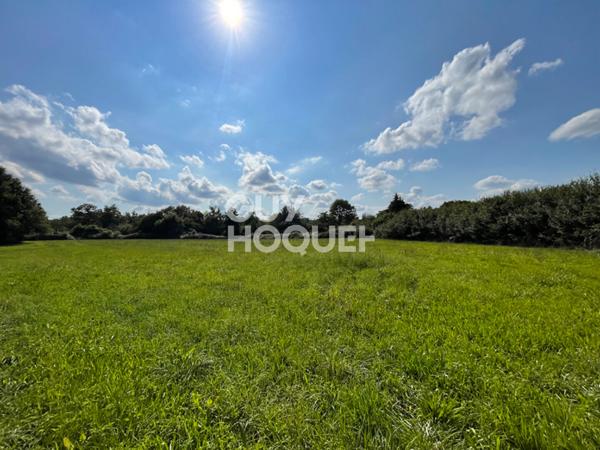 Terrain en zone commerciale et agricole avec hangar de 375m²