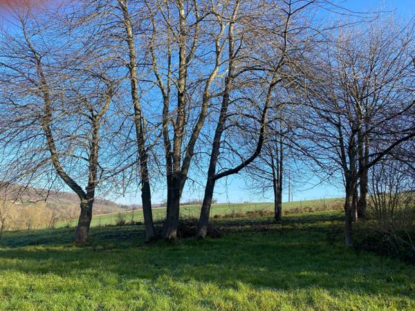 Terrain constructible - Plain pied possible