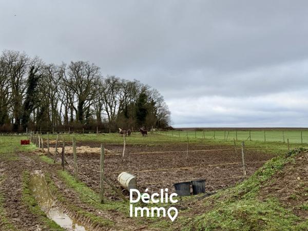 Vente haras / equestre Loudun, 20m² 1 pièce 139 100€ Vienne