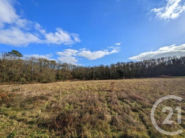 terrain à vendre 12209 m2 CARSAC AILLAC - 24
