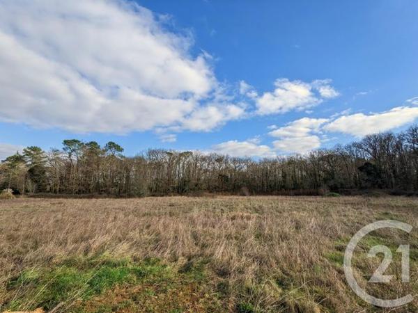 terrain à vendre 12209 m2 CARSAC AILLAC - 24